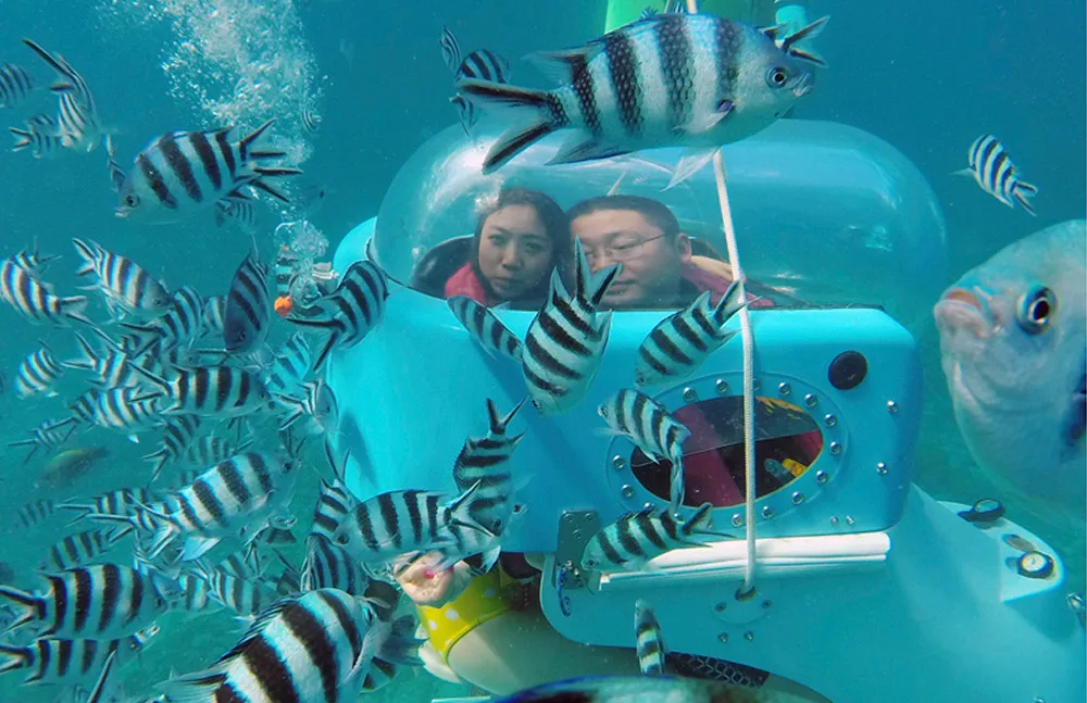 Underwater at Mauritius. theweddingnotebook.com