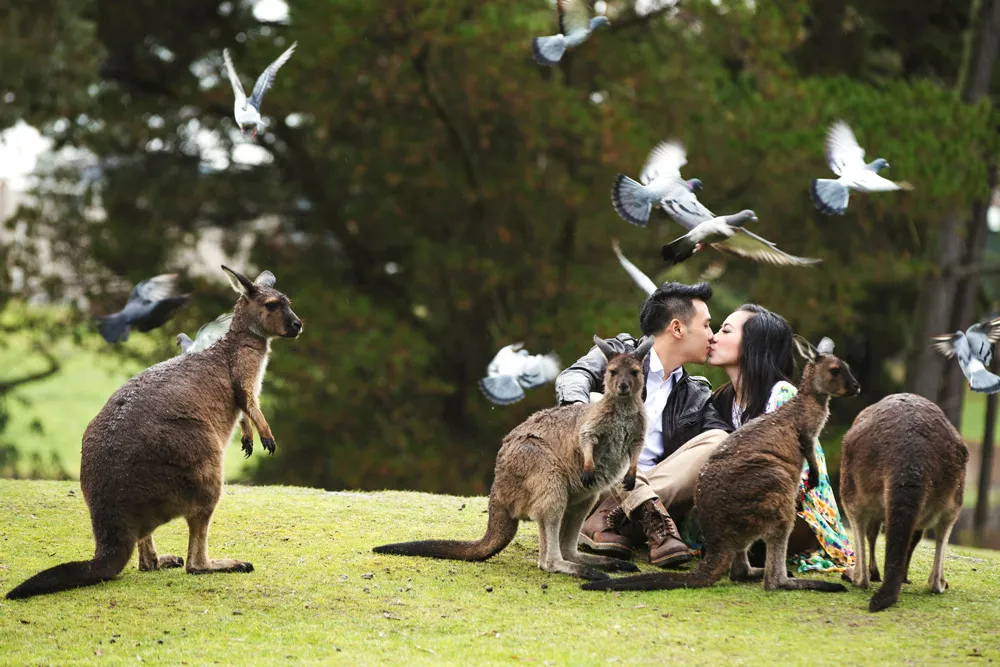 Photography by Axioo. Perth pre-wedding photos. theweddingnotebook.com