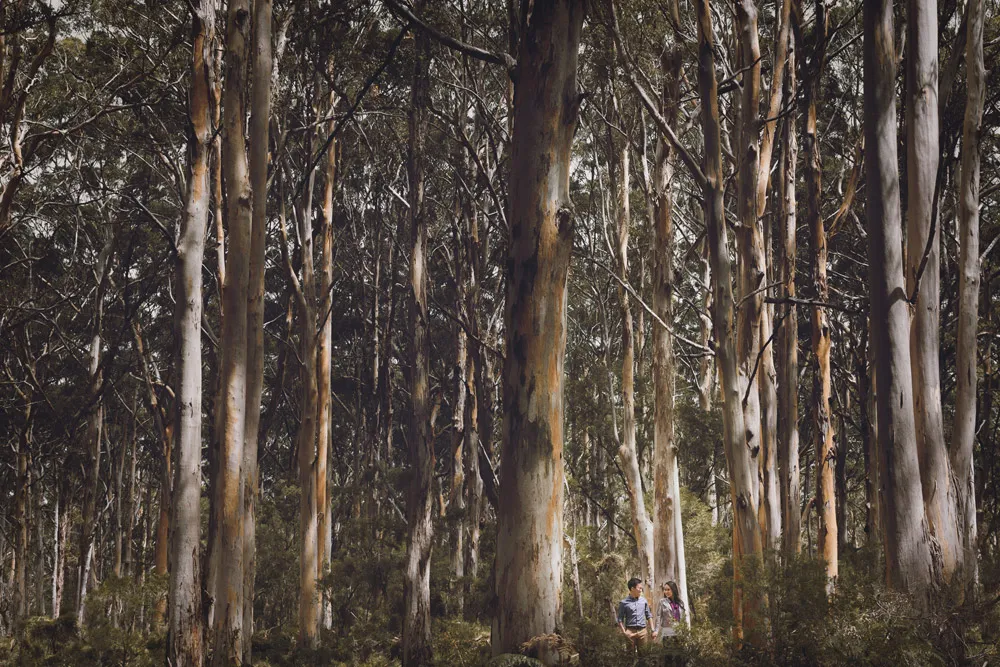 Sih Han Lim Photography. Perth pre-wedding photos. theweddingnotebook.com