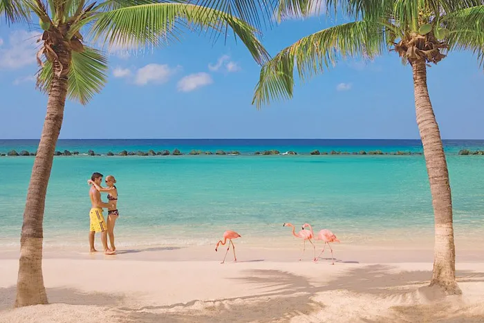 20 Honeymoon Ideas – Renaissance Aruba Resort &amp; Casino. theweddingnotebook.com