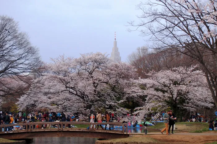 1-park