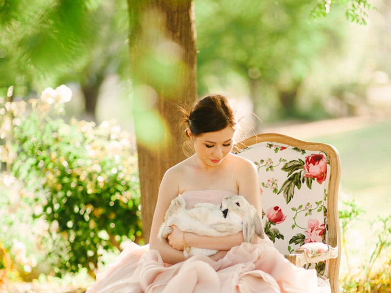 A Blush Pink Vera Wang Gown, With Tea And A Bunny