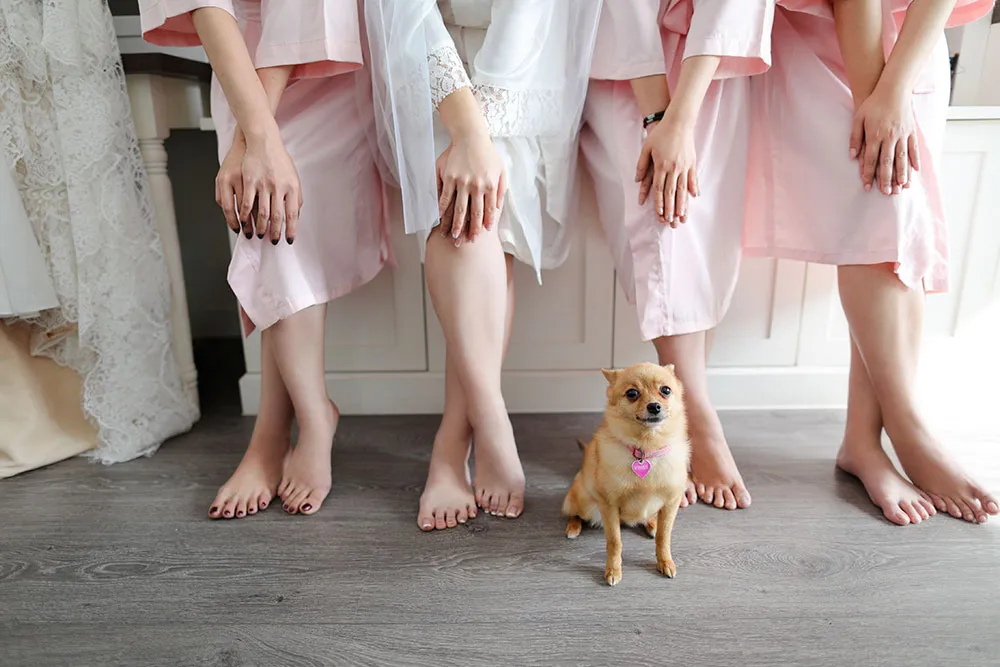 Photo by Axioo. ttp://theweddingnotebook.com