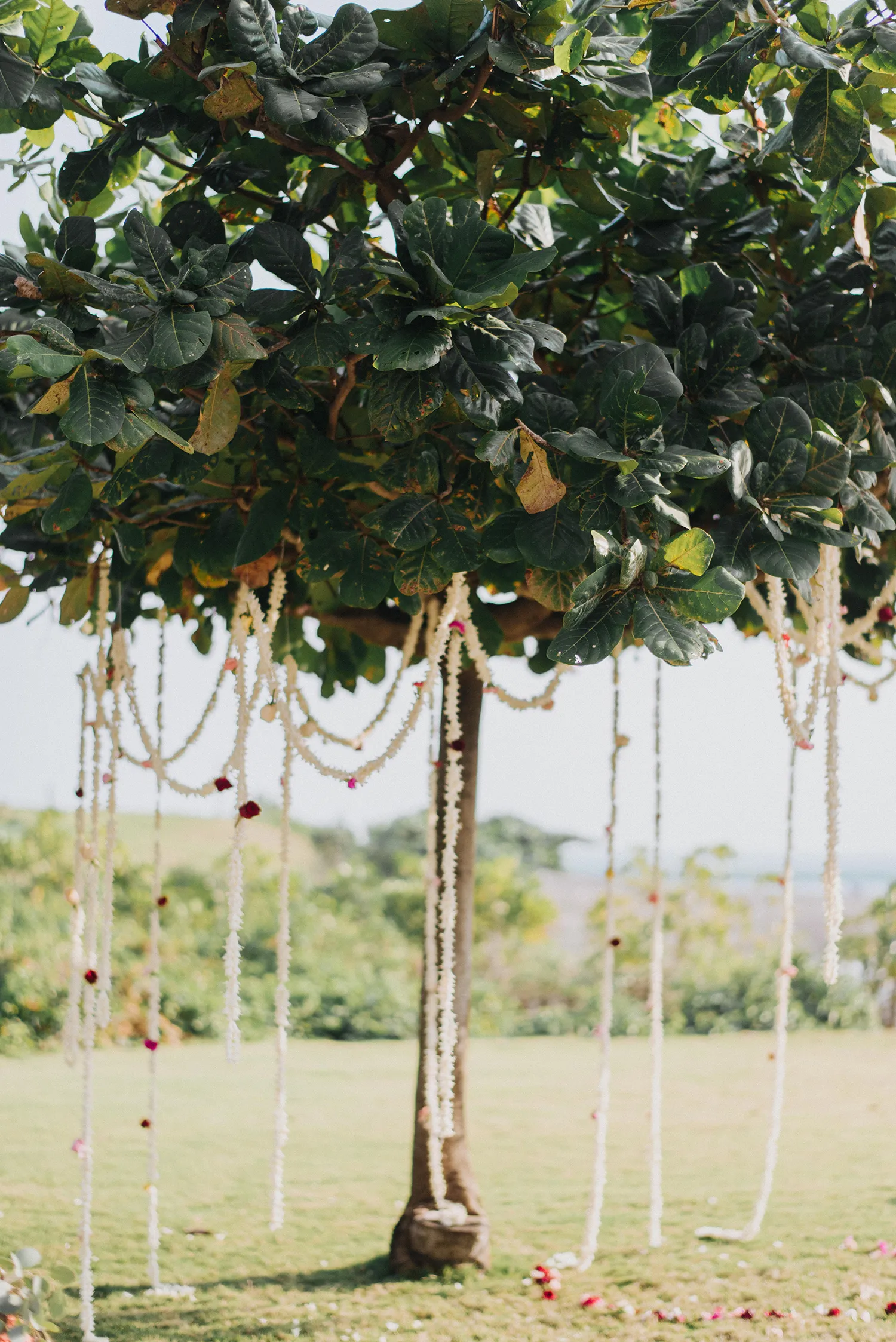 Destination wedding in Bali. Photography by Terralogical. theweddingnotebook.com