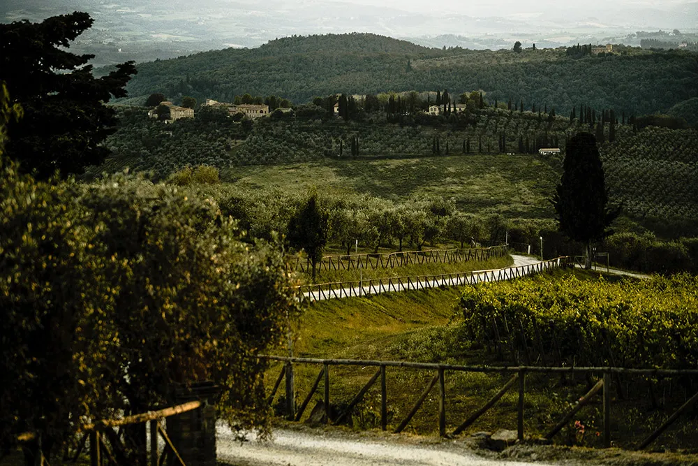 Photo by Mangored. theweddingnotebook.com