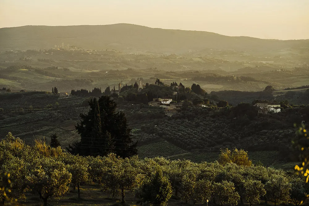 Photo by Mangored. theweddingnotebook.com