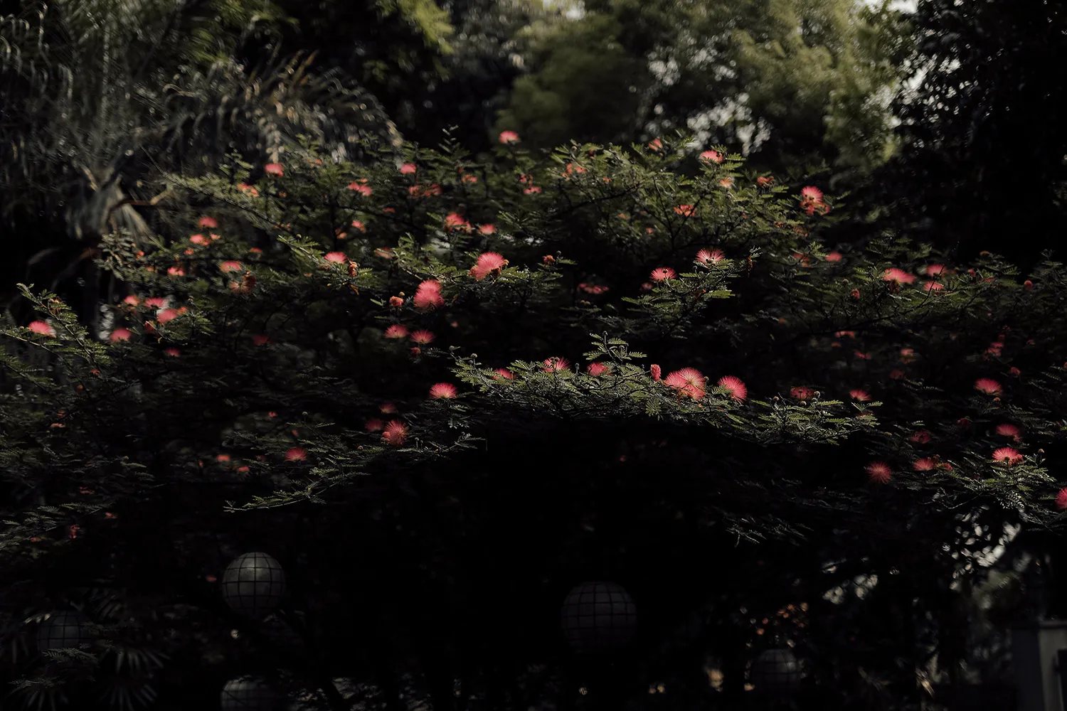 ProudRad. theweddingnotebook.com