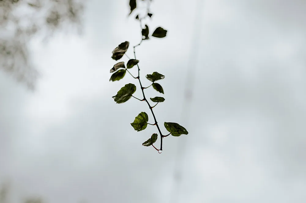 Photo by TRBAN Photography. theweddingnotebook.com