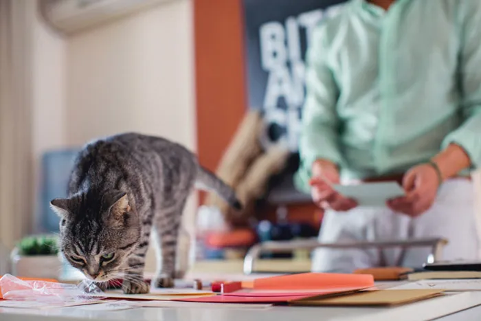 Chris Spira Photography. theweddingnotebook.com