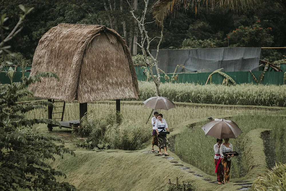 Photography by Iluminen. Wedding at Ubud Bali. theweddingnotebook.com