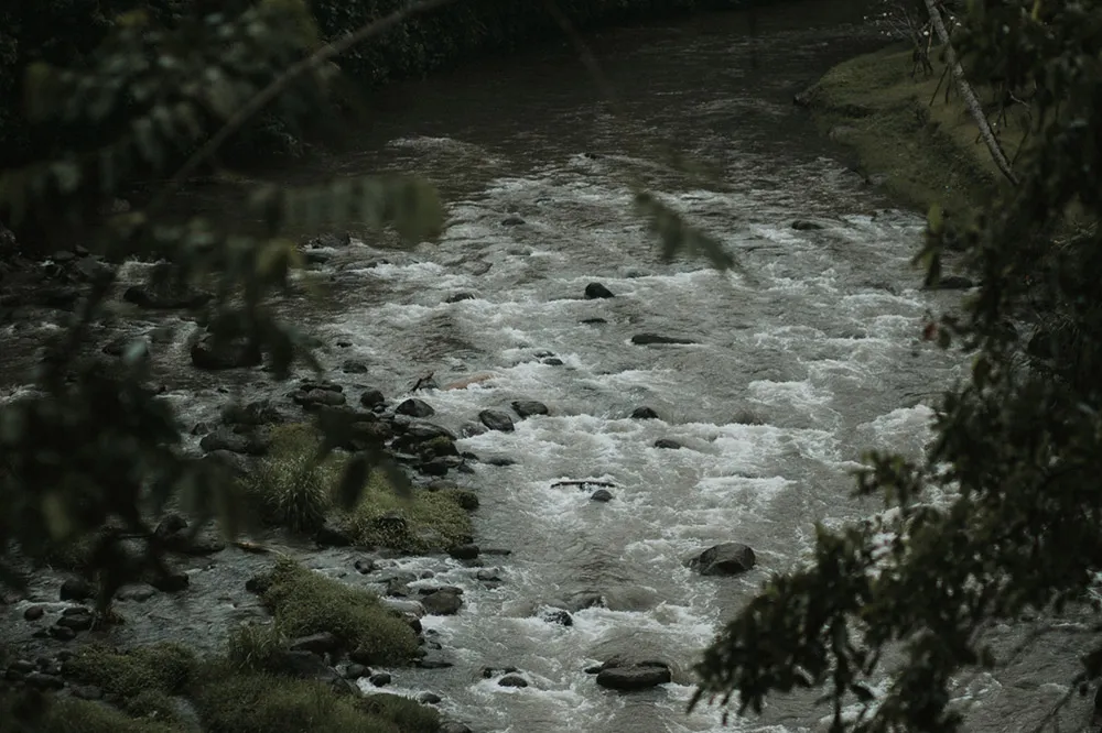 Photo by Iluminen. theweddingnotebook.com