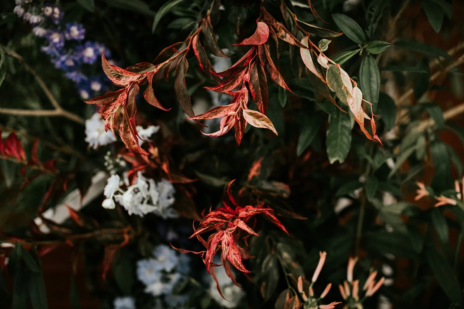 Photography by Lens of Mira. theweddingnotebook.com