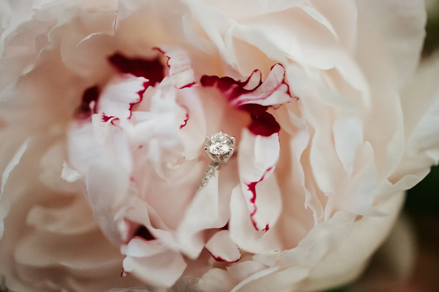 Photography by Lens of Mira. theweddingnotebook.com