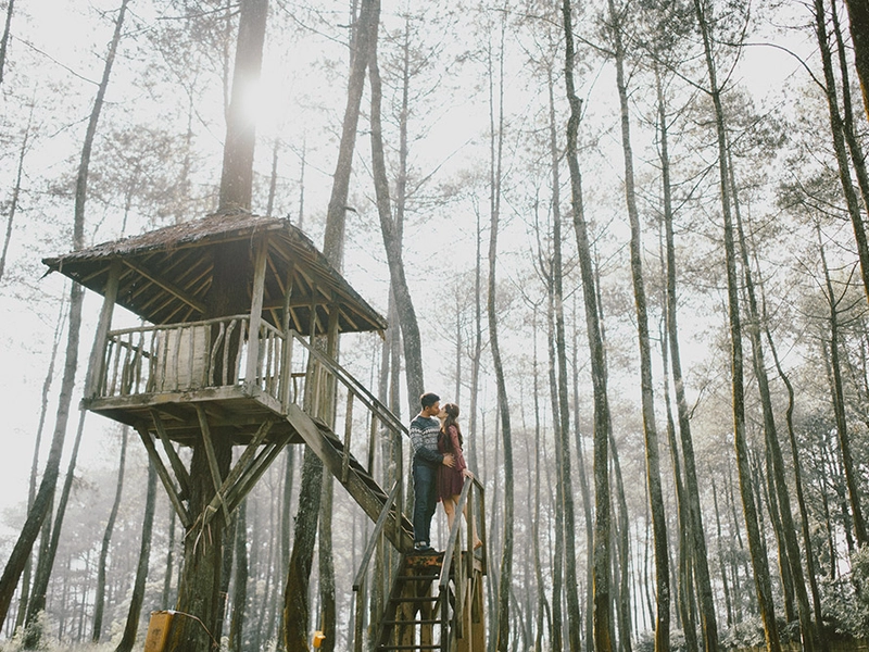 A Forest Fairytale In Bandung