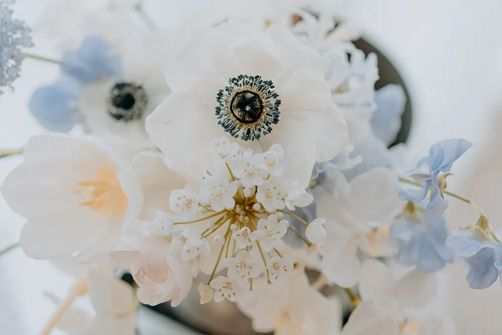 Smittenpixels Photography. theweddingnotebook.com