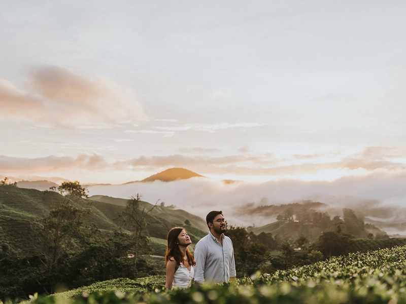 A Rejuvenating Escape to Cameron Highlands for Bridal Portraits