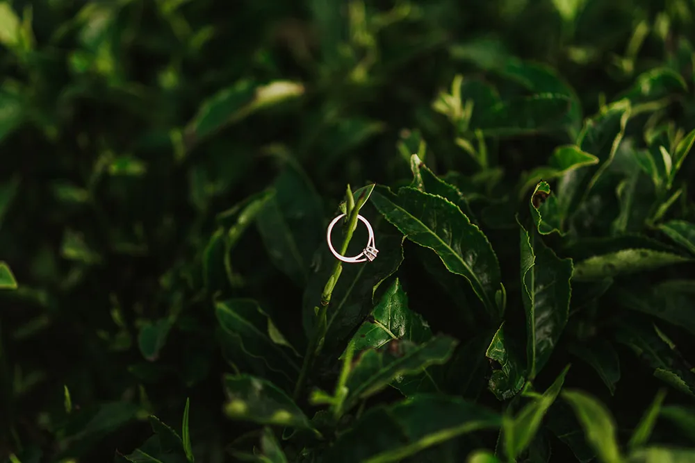 Photo by Moments by Jeremy. theweddingnotebook.com