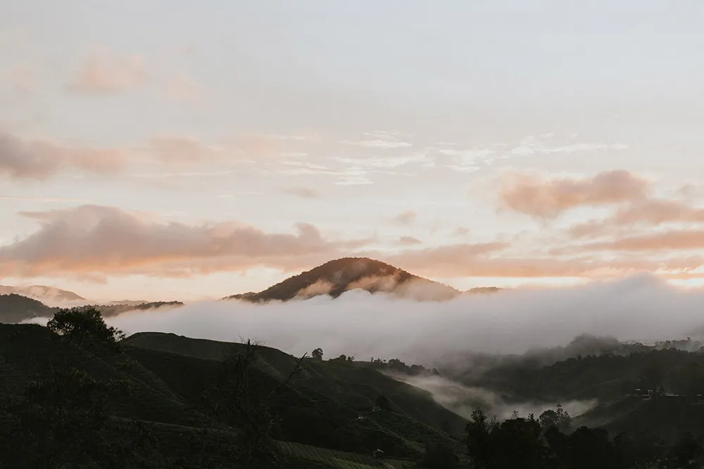Photo by Moments by Jeremy. theweddingnotebook.com