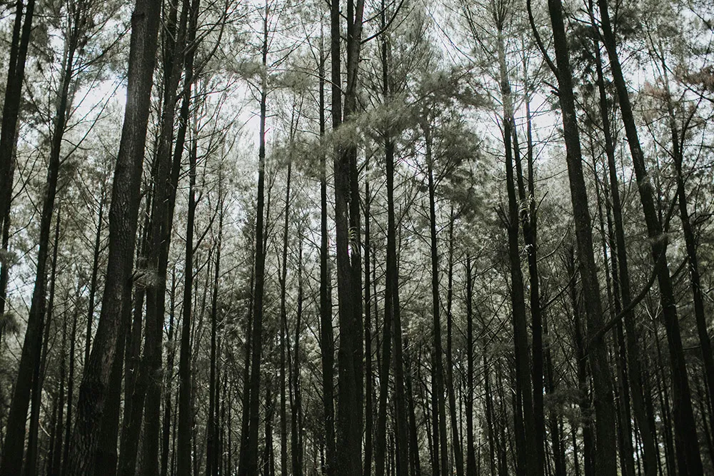 Photo by Iluminen. theweddingnotebook.com