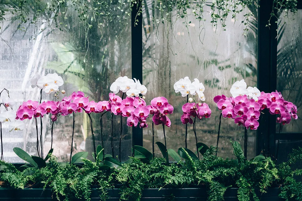 Photo by Trees On the Moon. theweddingnotebook.com