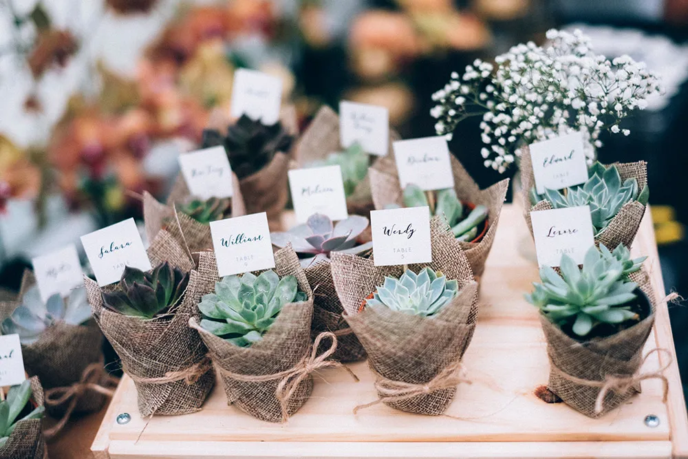 Photo by Trees On the Moon. theweddingnotebook.com