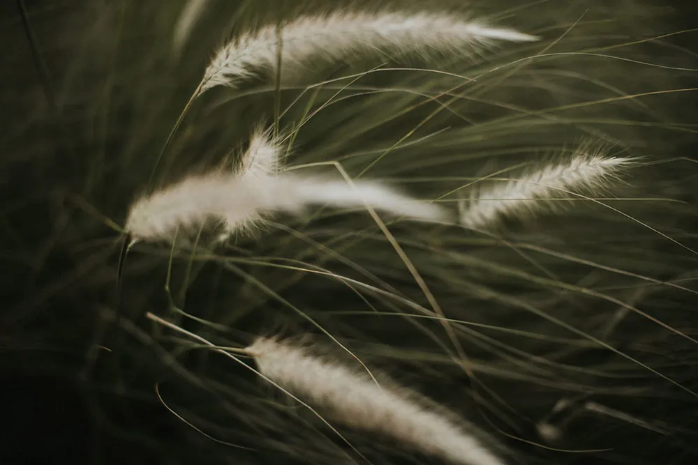 Photo by Iluminen. theweddingnotebook.com