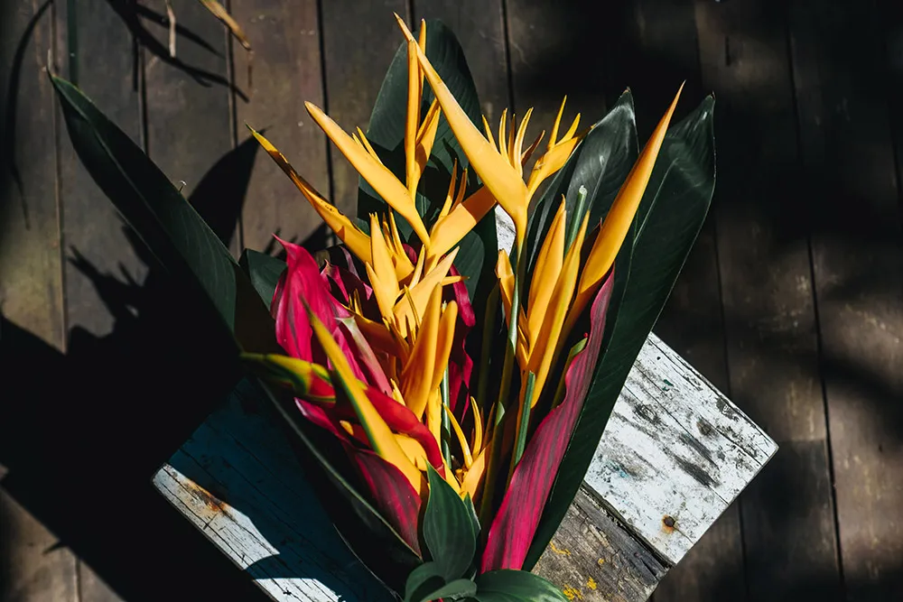 Photo by Terralogical. theweddingnotebook.com