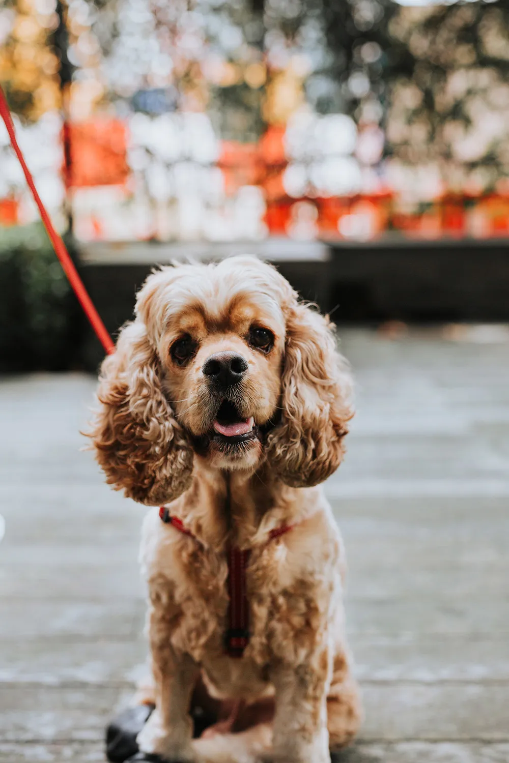 Photo by Andrew Chow of Munkeat Studio. theweddingnotebook.com