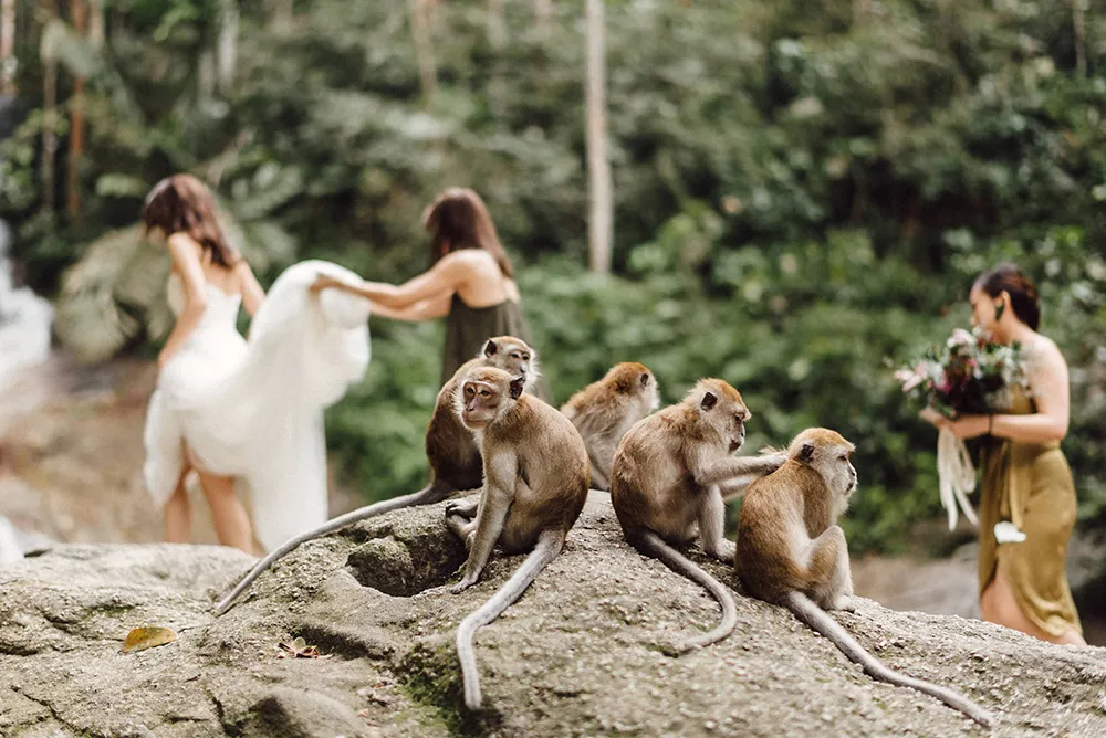 Photo by Peter Herman Photography. theweddingnotebook.com