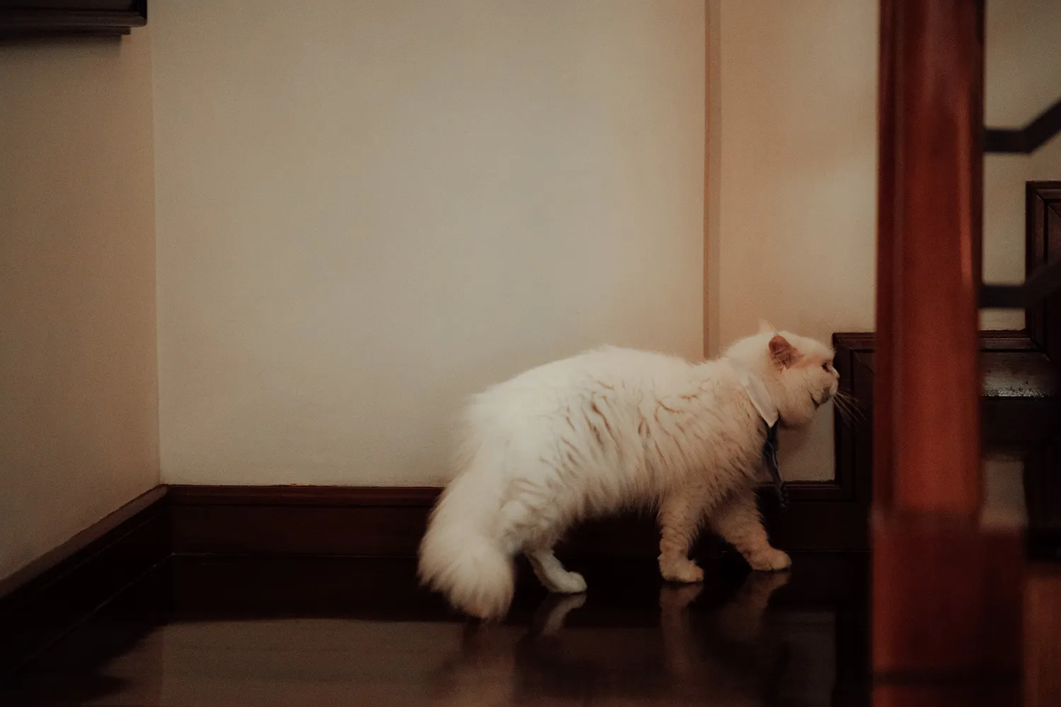 Proudrad Photography. theweddingnotebook.com