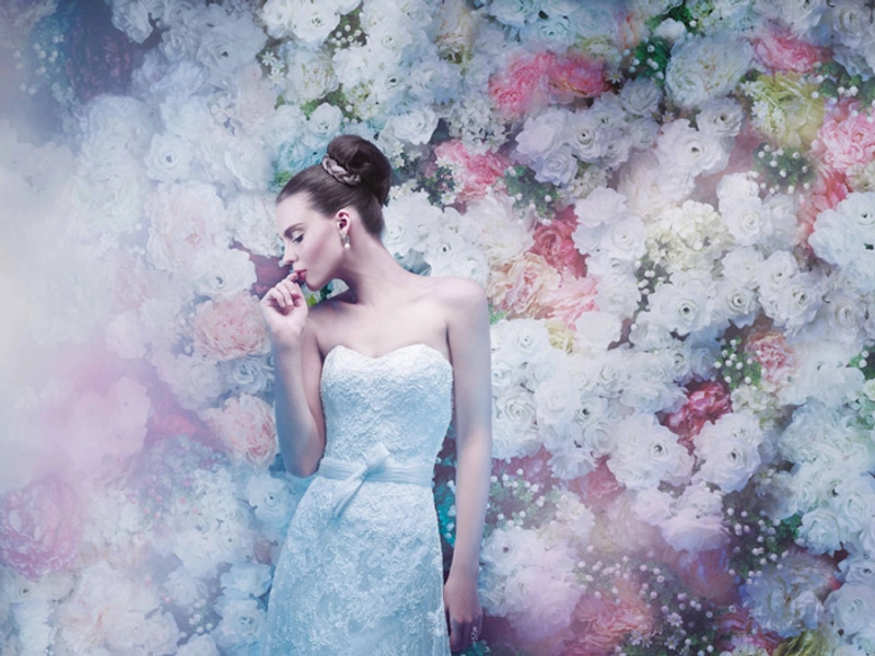 Annasul Y 2014 Collection