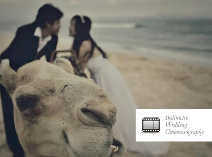 Bali Videographer Bali Metro Digiart