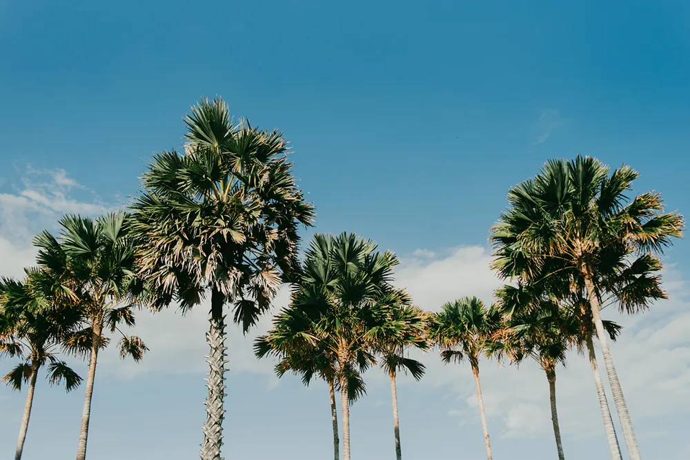 Photo by Diktatphotography. theweddingnotebook.com