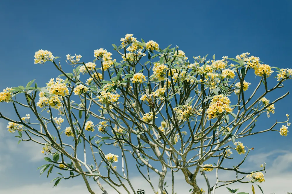 Photo by Diktatphotography. theweddingnotebook.com