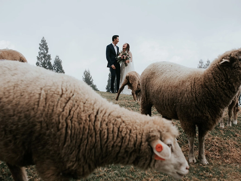 Bridal Portraits with Amazing Coastal Scenes and the Famous Streets of Taiwan