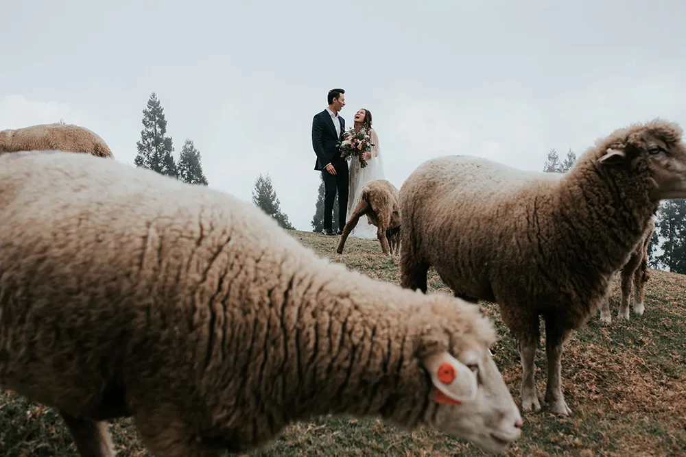 Photo by pixioo. theweddingnotebook.com