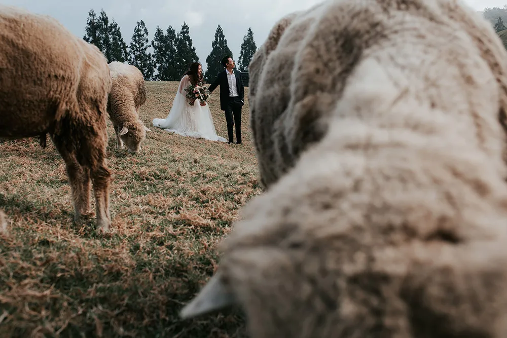 Photo by pixioo. theweddingnotebook.com