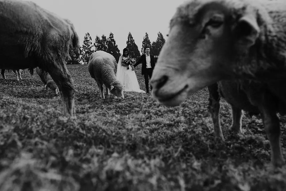 Photo by pixioo. theweddingnotebook.com