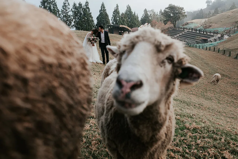 Photo by pixioo. theweddingnotebook.com