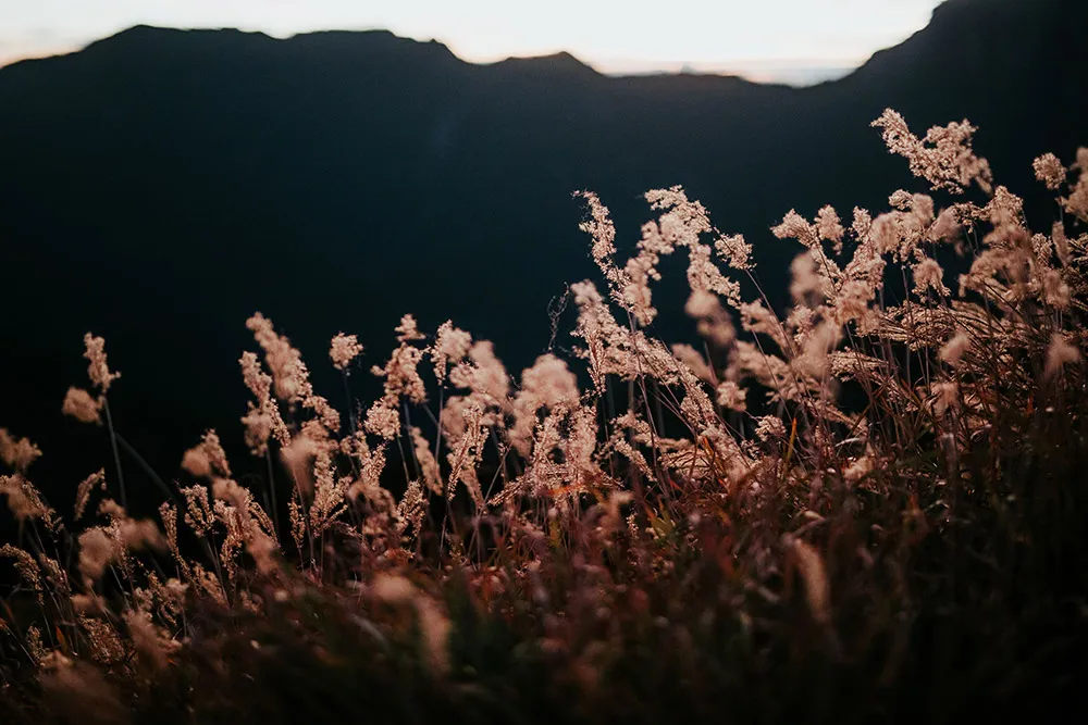 Photo by pixioo. theweddingnotebook.com