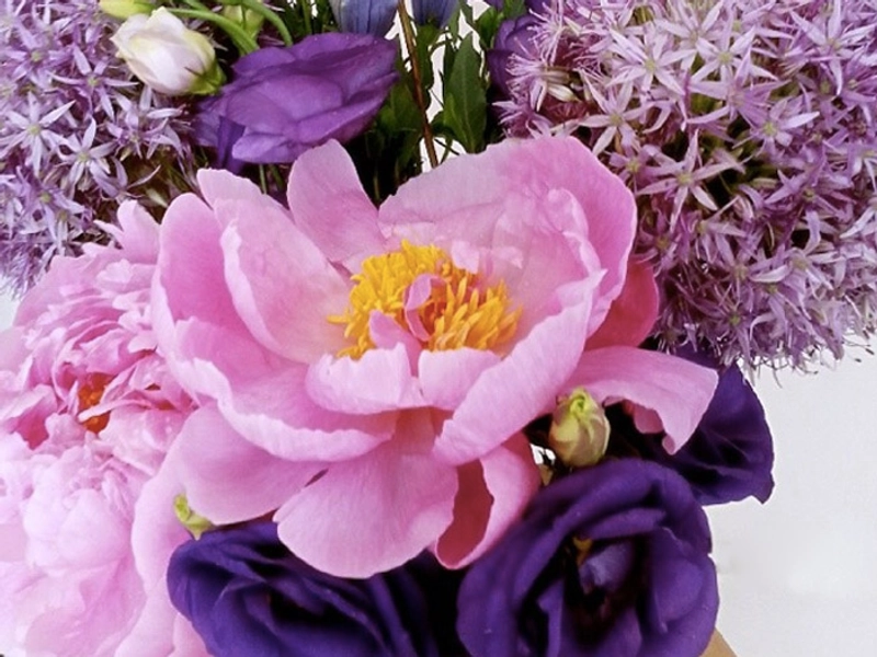 Camellia Floral Studio