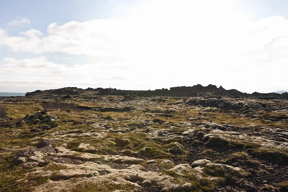 Daalarna 2019 Bridal Collection. //theweddingnotebook.com