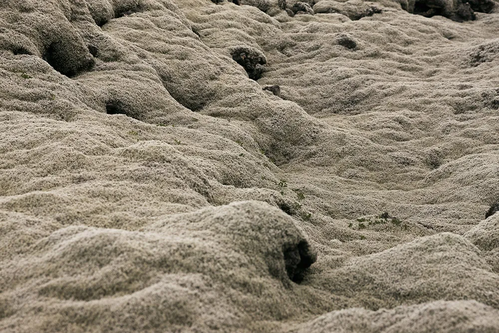 Daalarna 2019 Bridal Collection. //theweddingnotebook.com