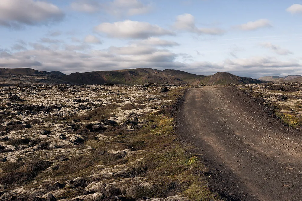 Daalarna 2019 Bridal Collection. //theweddingnotebook.com