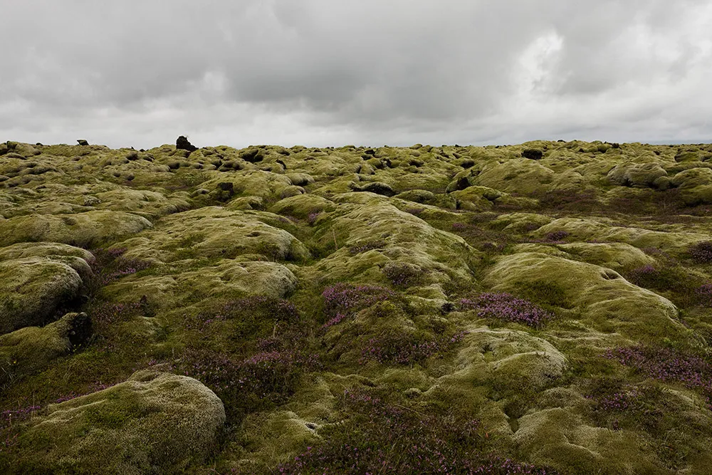 Daalarna 2019 Bridal Collection. //theweddingnotebook.com