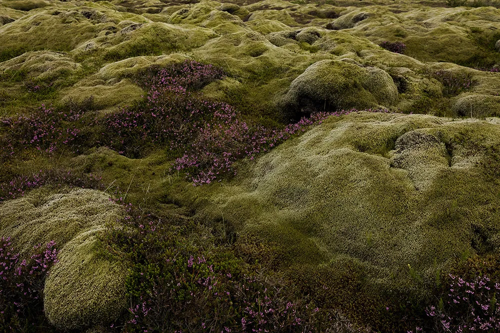 Daalarna 2019 Bridal Collection. //theweddingnotebook.com
