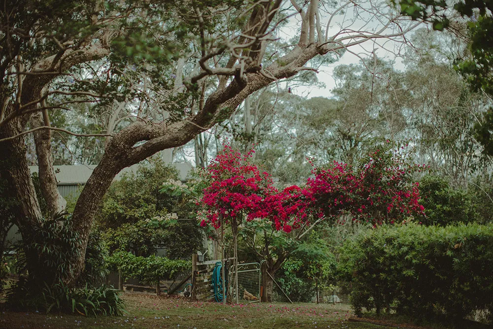 Photo by Wedding Gallery Studio. theweddingnotebook.com