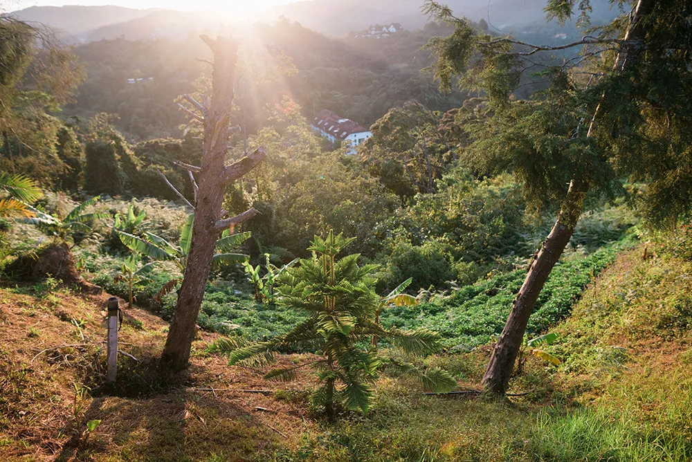 Photo by Peter Herman Photography. theweddingnotebook.com
