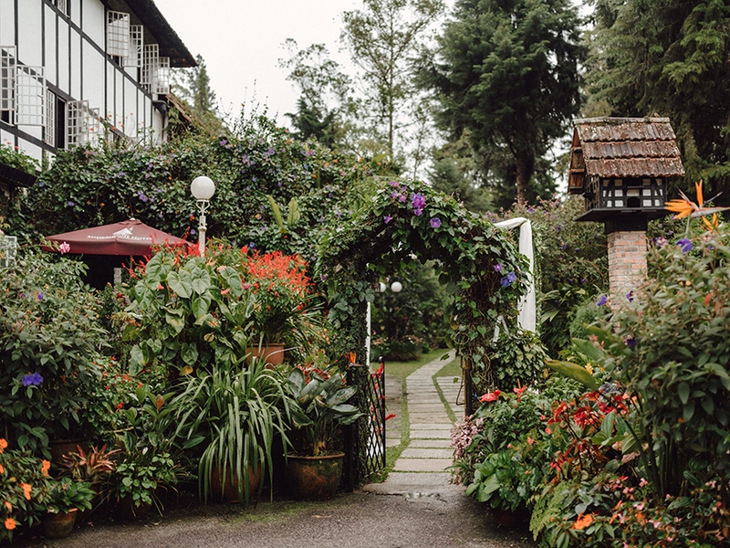 DIY Wedding Of Gold, Pink And White At Cameron Highlands