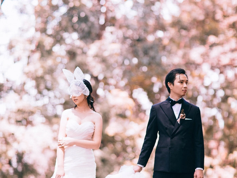 Dreamy Love Storybook